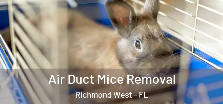  Air Duct Mice Removal Richmond West - FL