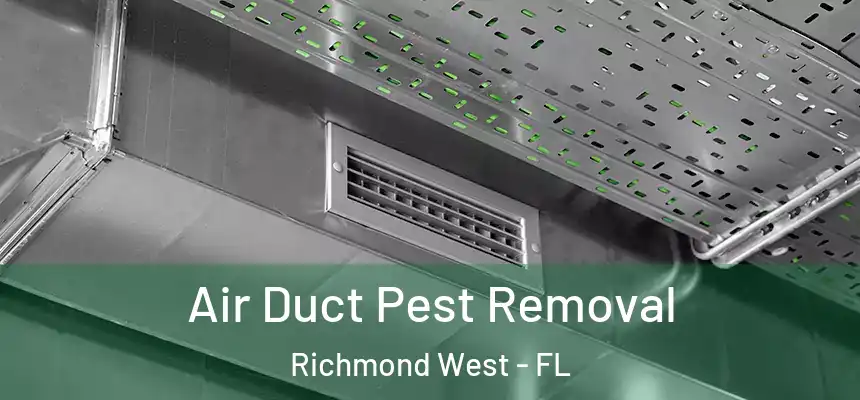 Air Duct Pest Removal Richmond West - FL