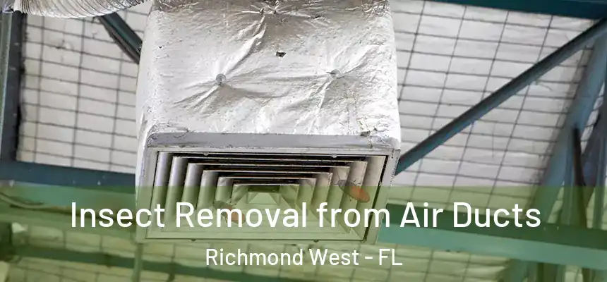  Insect Removal from Air Ducts Richmond West - FL