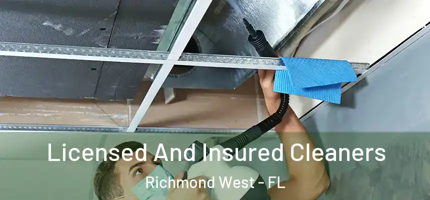  Licensed And Insured Cleaners Richmond West - FL