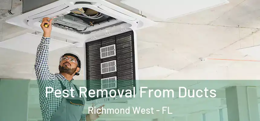  Pest Removal From Ducts Richmond West - FL