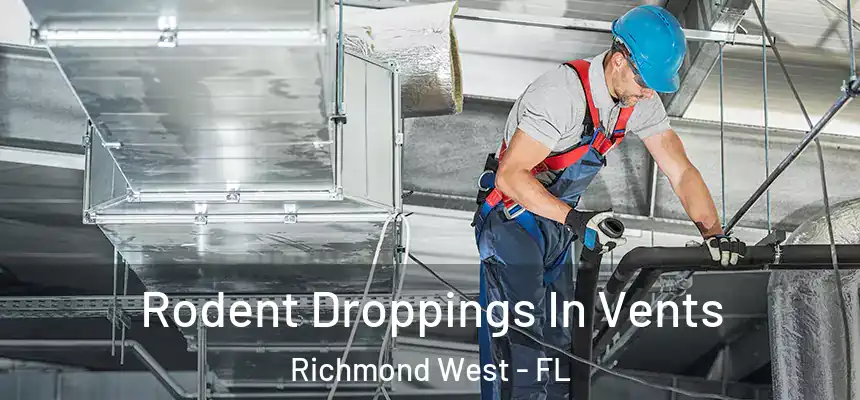  Rodent Droppings In Vents Richmond West - FL