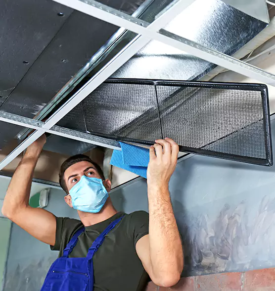 About Air Duct Bacteria Removal in Richmond West