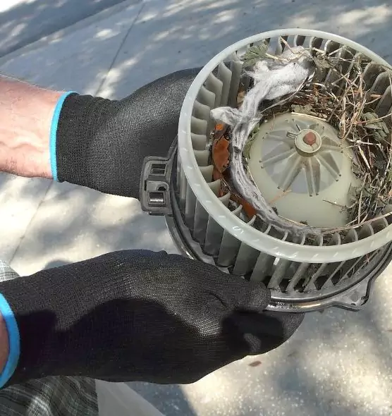 About Air Duct Mice Removal in Richmond West, FL