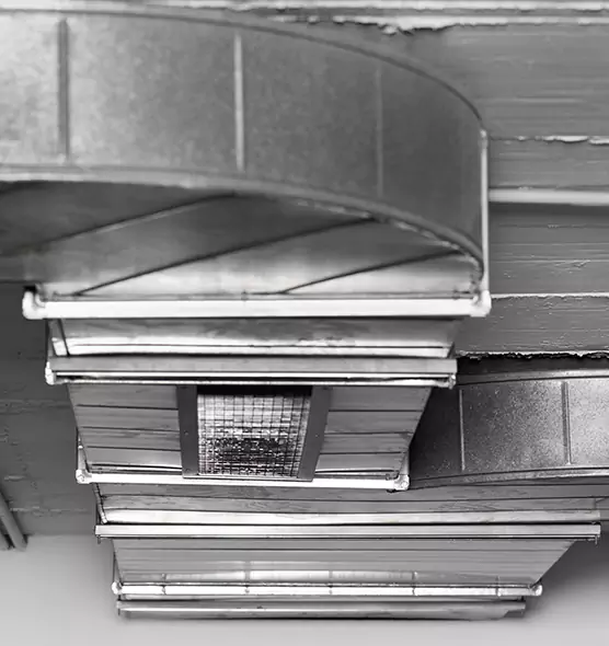 Professional Air Duct Pest Removal in Richmond West, FL