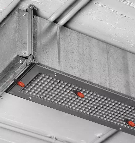 Affordable Insect Removal from Air Ducts in Richmond West, FL